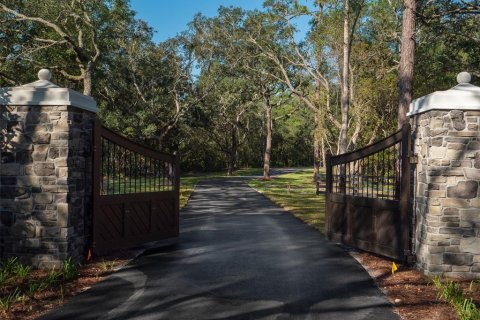 Terrain à vendre à Ocala, Floride № 1721702 - photo 2