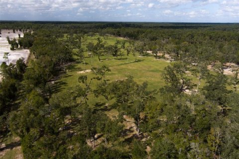 Terrain à vendre à Ocala, Floride № 1721702 - photo 15