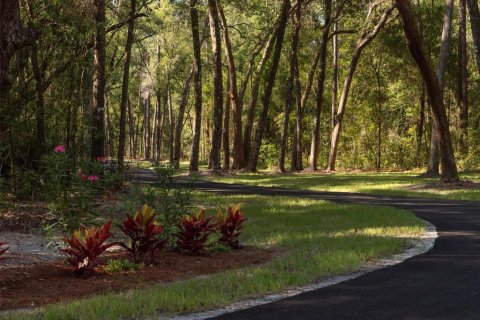 Terrain à vendre à Ocala, Floride № 1721702 - photo 3