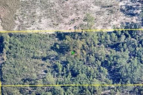 Land in Brooksville, Florida № 2299037