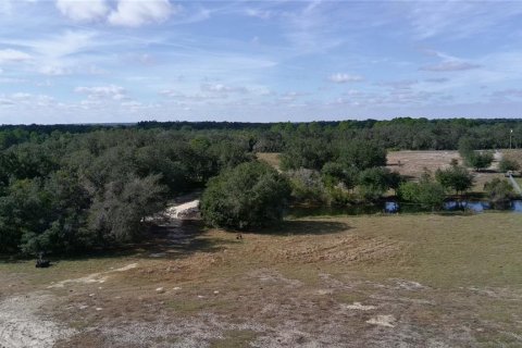 Terrain à vendre à Lake Wales, Floride № 2097146 - photo 11