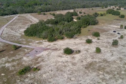 Terrain à vendre à Lake Wales, Floride № 2097146 - photo 6