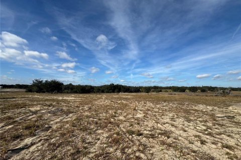 Terrain à vendre à Lake Wales, Floride № 2097146 - photo 26