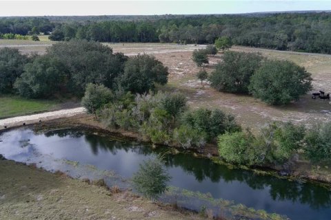 Terrain à vendre à Lake Wales, Floride № 2097146 - photo 17