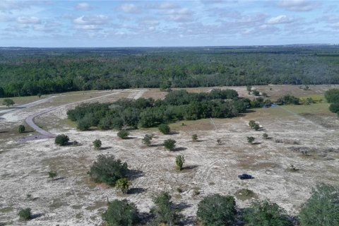 Terrain à vendre à Lake Wales, Floride № 2097146 - photo 8