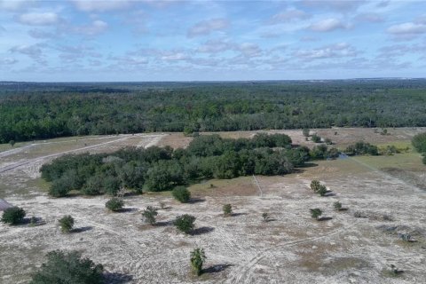 Terrain à vendre à Lake Wales, Floride № 2097146 - photo 30