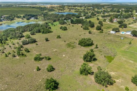 Land in Clermont, Florida № 1751841 - photo 9