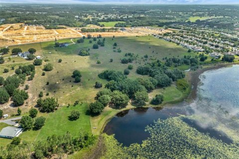 Land in Clermont, Florida № 1751841 - photo 12