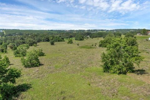 Land in Clermont, Florida № 1751841 - photo 8