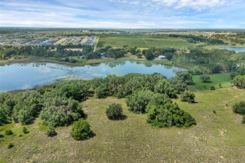 Land in Clermont, Florida № 1751841 - photo 17