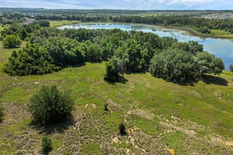 Land in Clermont, Florida № 1751841 - photo 5