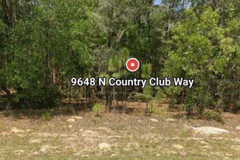 Land in Citrus Springs, Florida № 2161922 - photo 2