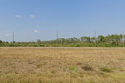 Land in Placida, Florida № 2161112 - photo 5