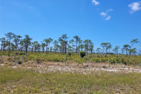 Land in Placida, Florida № 2161112 - photo 6