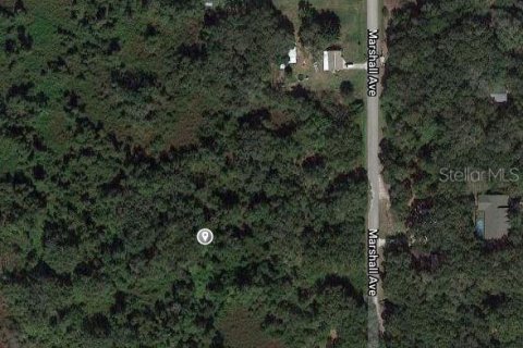 Terreno en venta en Lake Placid, Florida № 2224134 - foto 2