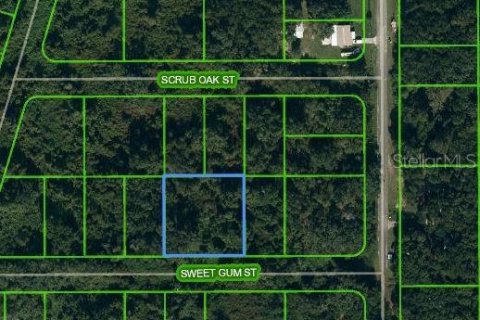 Land in Lake Placid, Florida № 2224134