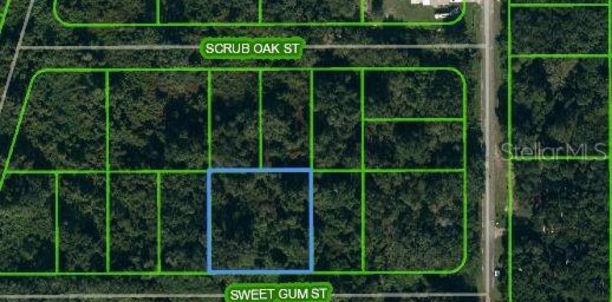 Terreno en Lake Placid, Florida № 2224134