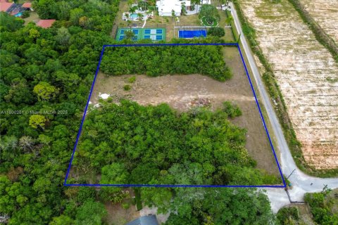 Land in Homestead, Florida № 1959301 - photo 3