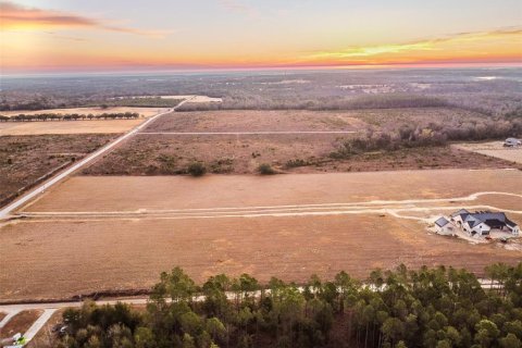 Land in Brooksville, Florida № 2143494 - photo 12