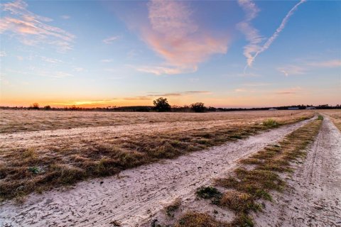 Land in Brooksville, Florida № 2143494 - photo 4