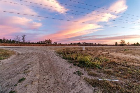 Land in Brooksville, Florida № 2143494 - photo 6