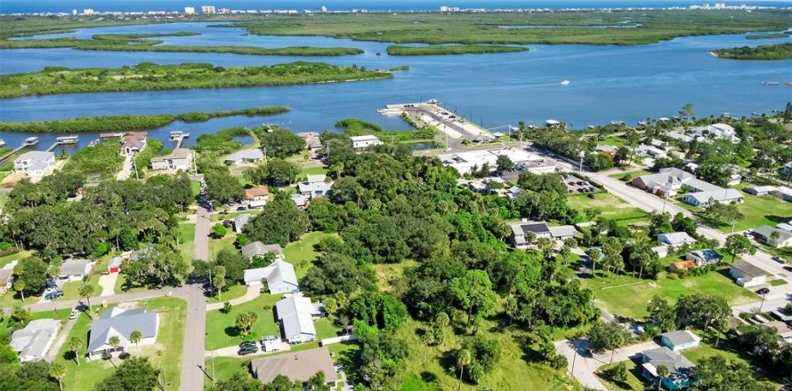 Terrain à Edgewater, Floride № 2099419