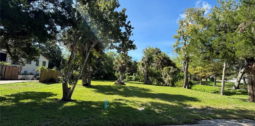 Land in Port Orange, Florida № 1888521