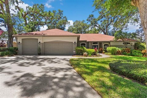 Casa en venta en Valrico, Florida, 4 dormitorios, 257.9 m2 № 1651739 - foto 1