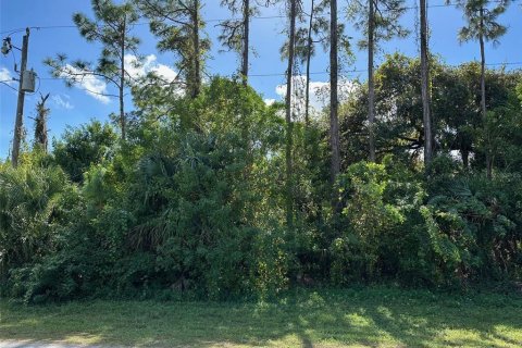 Land in LaBelle, Florida № 2159844 - photo 2