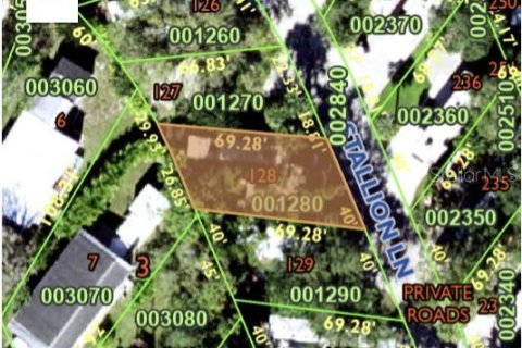 Terreno en venta en Lake Wales, Florida № 1429502 - foto 3