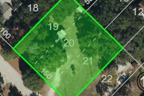 Terrain à Oldsmar, Floride № 2391073