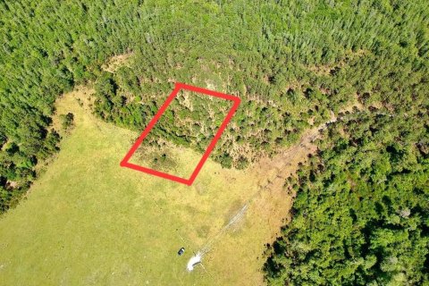Land in Polk City, Florida № 2163243