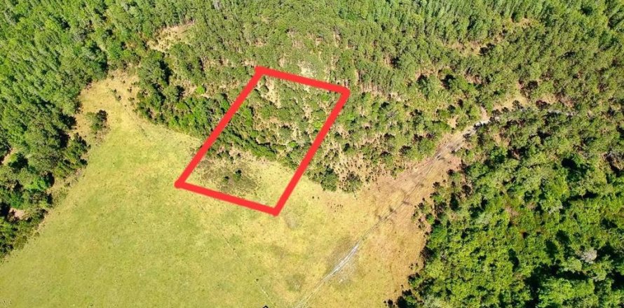 Land in Polk City, Florida № 2163243