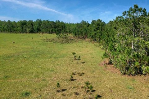 Land in Polk City, Florida № 2163243 - photo 2