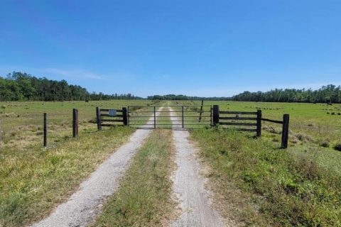 Land in Polk City, Florida № 2163243 - photo 4