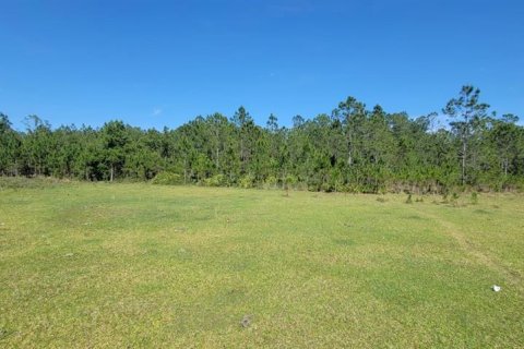 Land in Polk City, Florida № 2163243 - photo 3