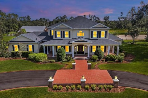 House in Fish Hawk, Florida 5 bedrooms, 536.7 sq.m. № 2337299