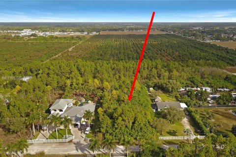 Terrain à vendre à Florida City, Floride № 1999035 - photo 2