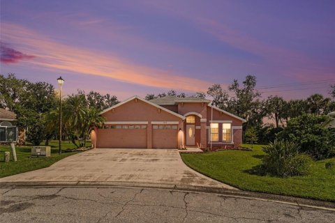 Casa en Parrish, Florida 3 dormitorios, 223.71 m2 № 2384456