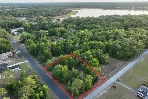 Land in Ocala, Florida № 2162304
