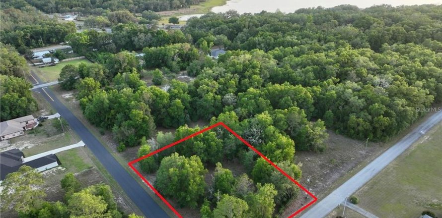 Land in Ocala, Florida № 2162304