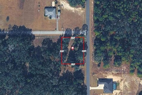 Land in Ocala, Florida № 2162304 - photo 4
