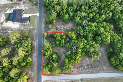 Land in Ocala, Florida № 2162304 - photo 3