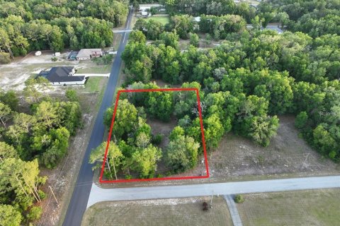 Land in Ocala, Florida № 2162304 - photo 2