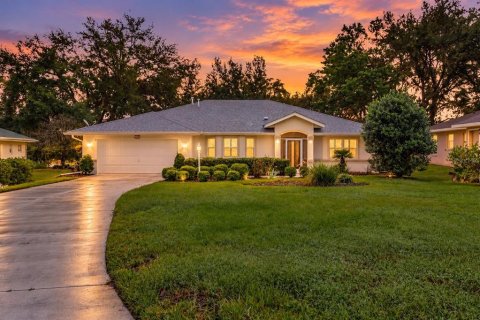 Villa ou maison à Leesburg, Floride 3 chambres, 163.42 m2 № 2415452