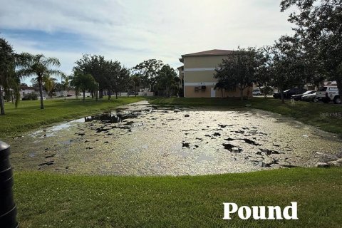 Condominio en alquiler en New Port Richey, Florida, 3 dormitorios, 114.08 m2 № 1873392 - foto 28