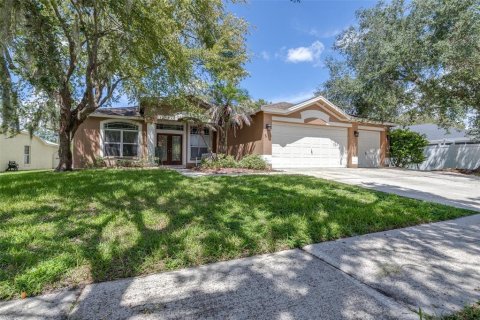 House in Fish Hawk, Florida 4 bedrooms, 232.07 sq.m. № 2354522 - photo 6