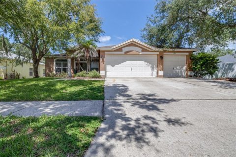 House in Fish Hawk, Florida 4 bedrooms, 232.07 sq.m. № 2354522 - photo 2