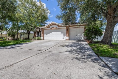 House in Fish Hawk, Florida 4 bedrooms, 232.07 sq.m. № 2354522 - photo 4