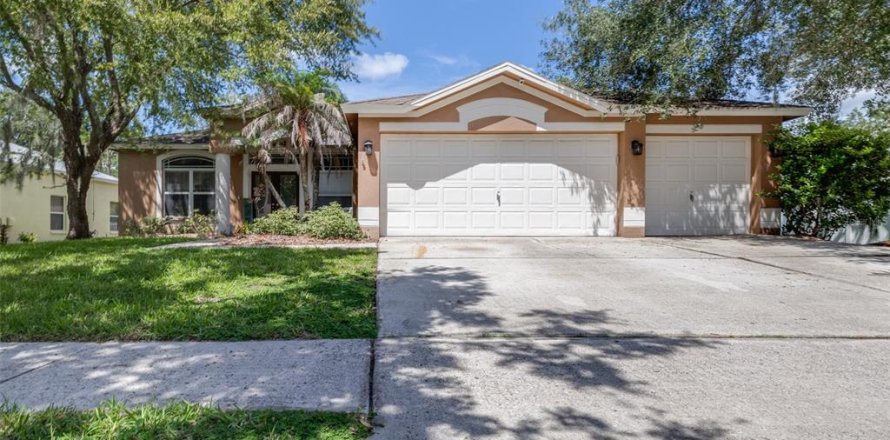 House in Fish Hawk, Florida 4 bedrooms, 232.07 sq.m. № 2354522